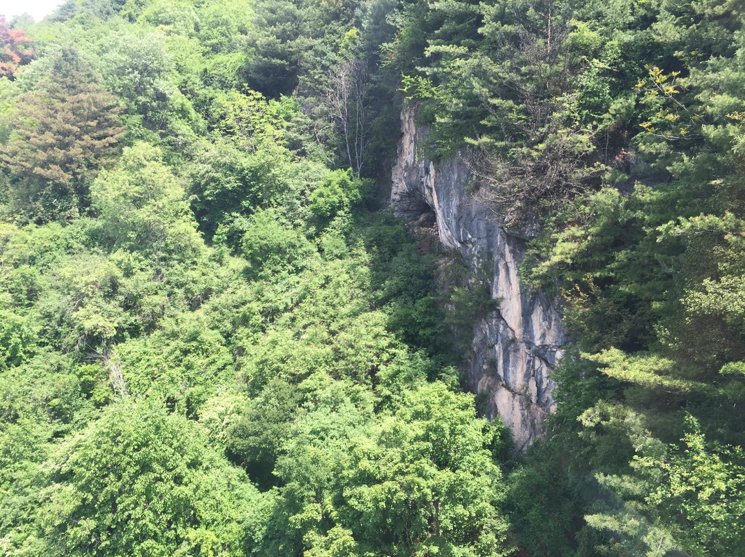 留坝县旅游攻略图片