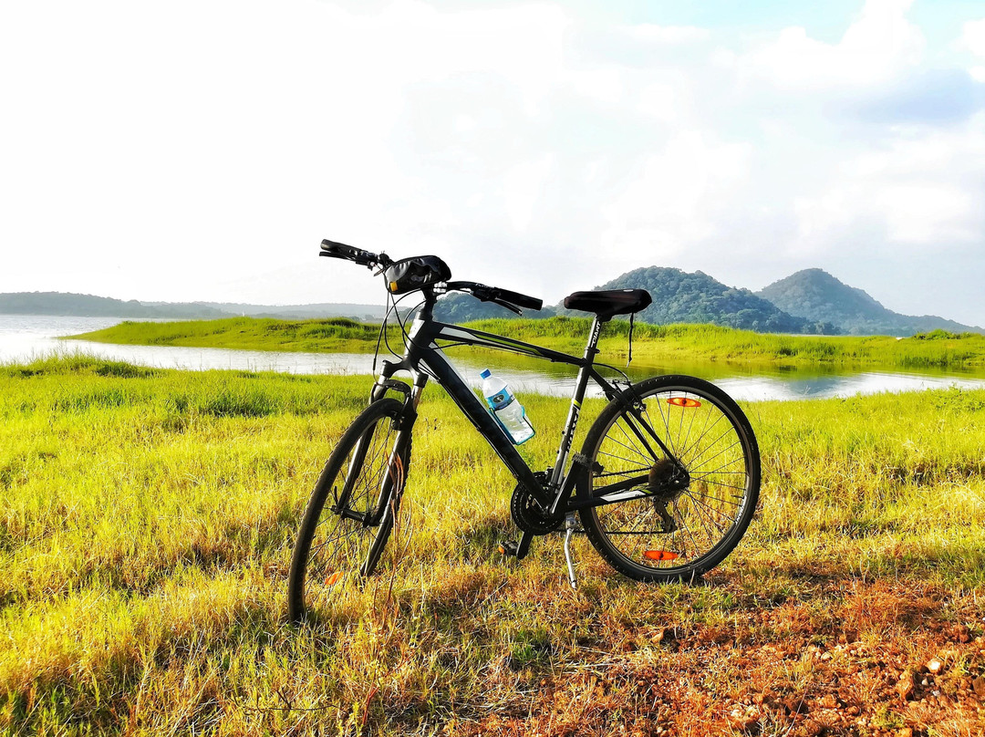 SriLanka Bicycle Holidays景点图片