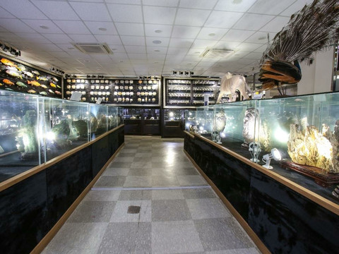 Jumunjin Maritime Museum-江陵市必去景点