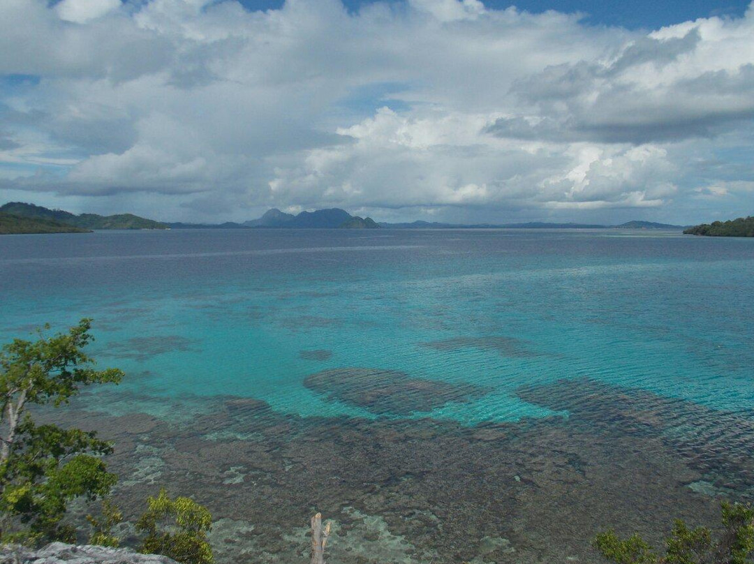 Waleakodi Island旅游攻略图片