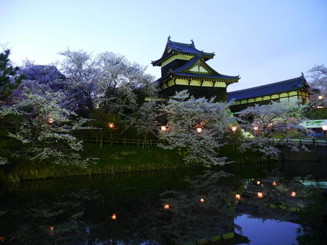 Koriyama Castle景点图片