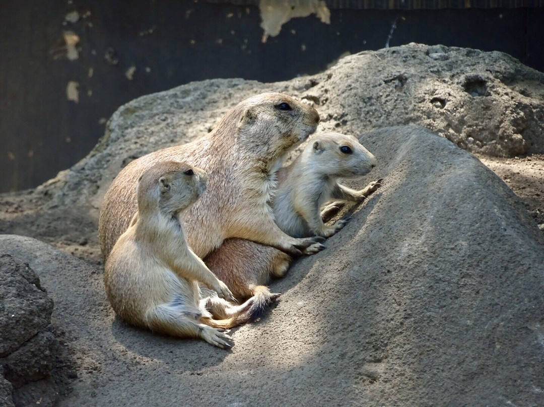 Edogawa Natural Zoo