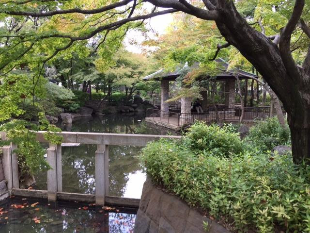 Mabashi Park景点图片