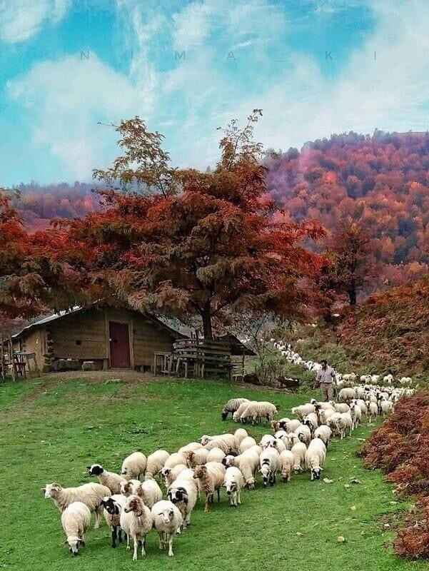Masouleh Village-Masuleh必去景点