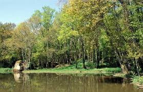 Etang de Bois Pouvreau et son chaos granitique景点图片
