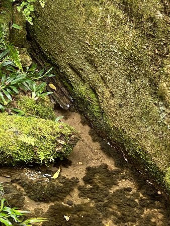 Parque Nascentes Do Tiete-Salesopolis必去景点