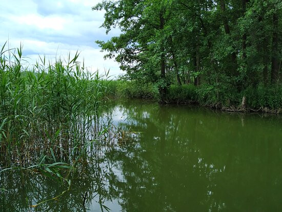 Welski Park Krajobrazowy景点图片