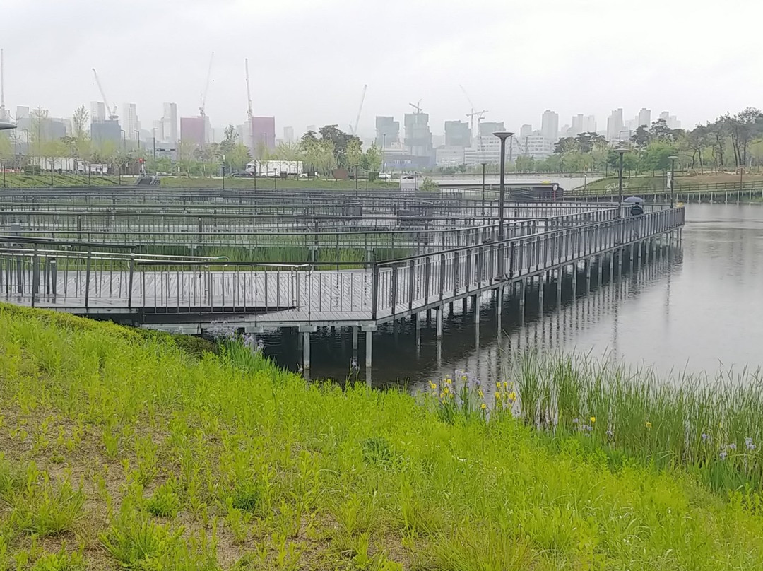 世宗市旅游攻略图片
