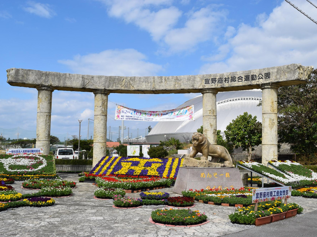 Kariyushi Hotels Ballpark Ginoza景点图片