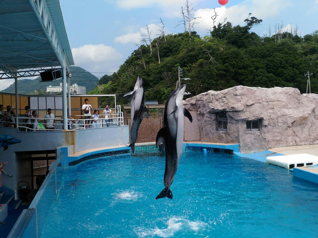 Shimoda Aquarium景点图片
