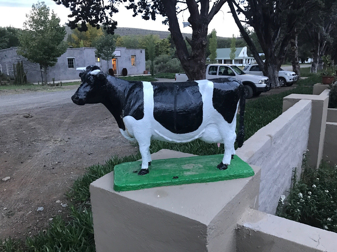 And The Cow Jumped Over The Moon