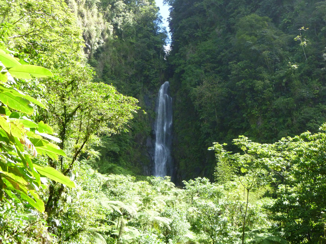 Trafalgar Falls-Morne Trois Pitons National Park必去景点
