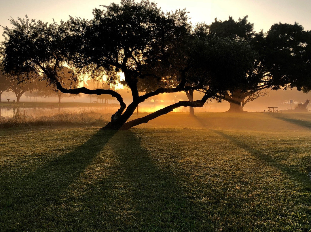 森赖斯旅游攻略图片