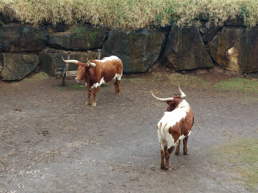 Recanto Gaúcho-卡内拉必去景点