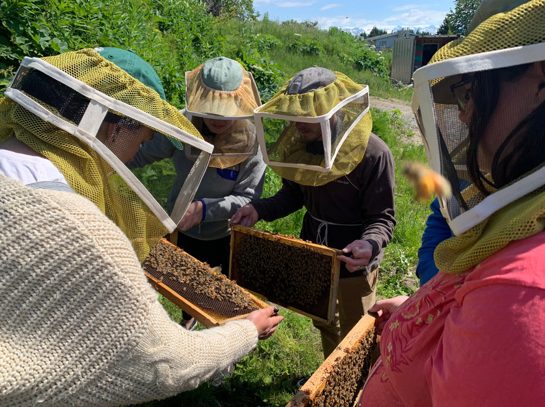 Stoked Honeybee Farm景点图片