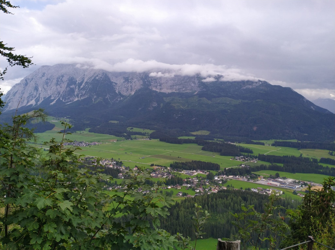 Simonywarte