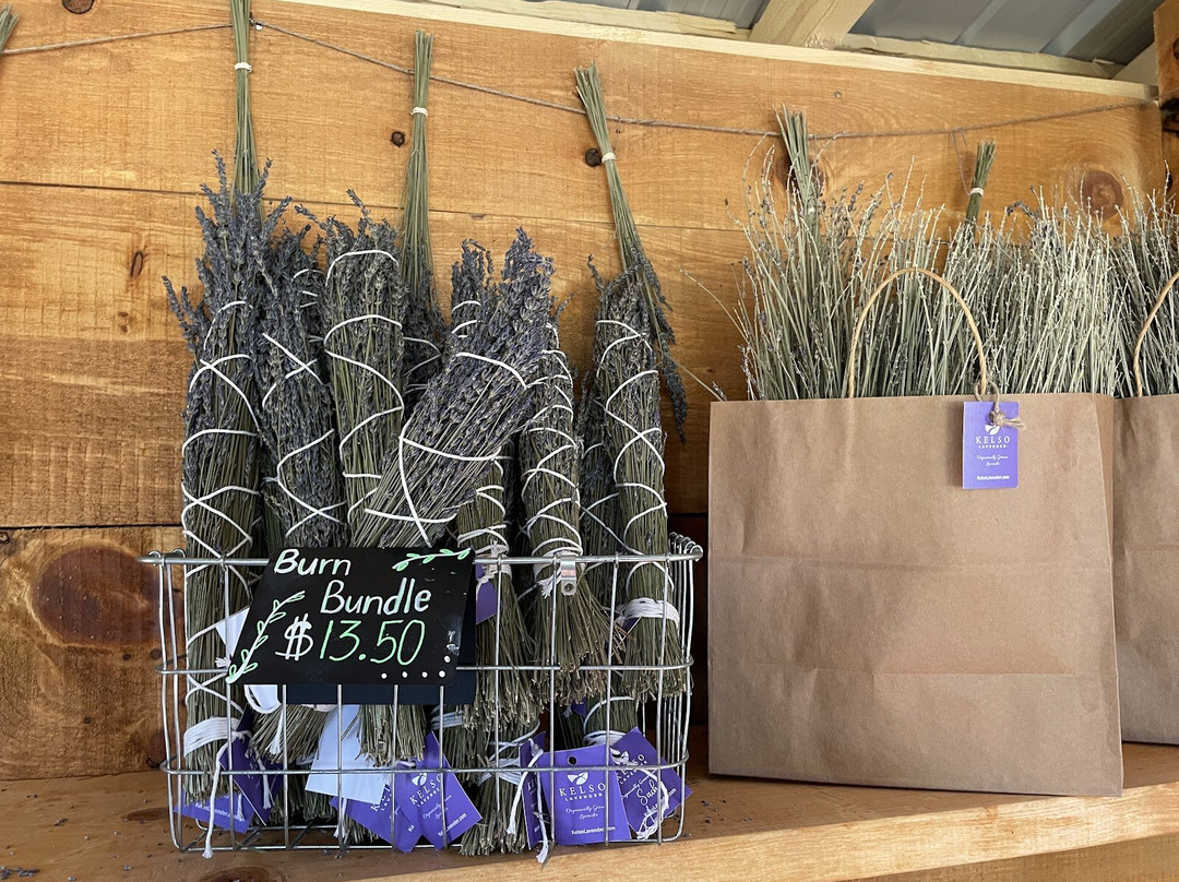 Kelso Lavender Farm-Milton必去景点