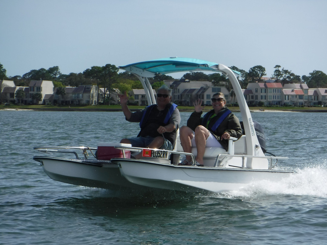 Backwater Cat Adventure