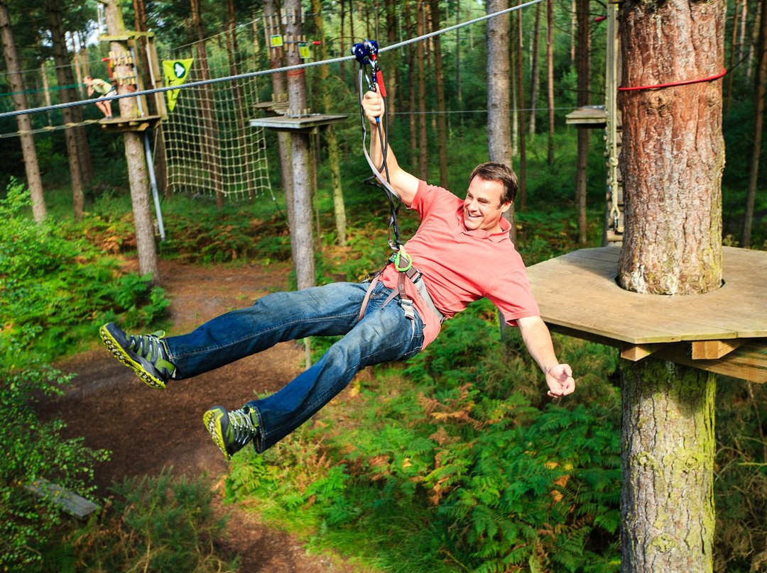 Go Ape Haldon Forest Park景点图片