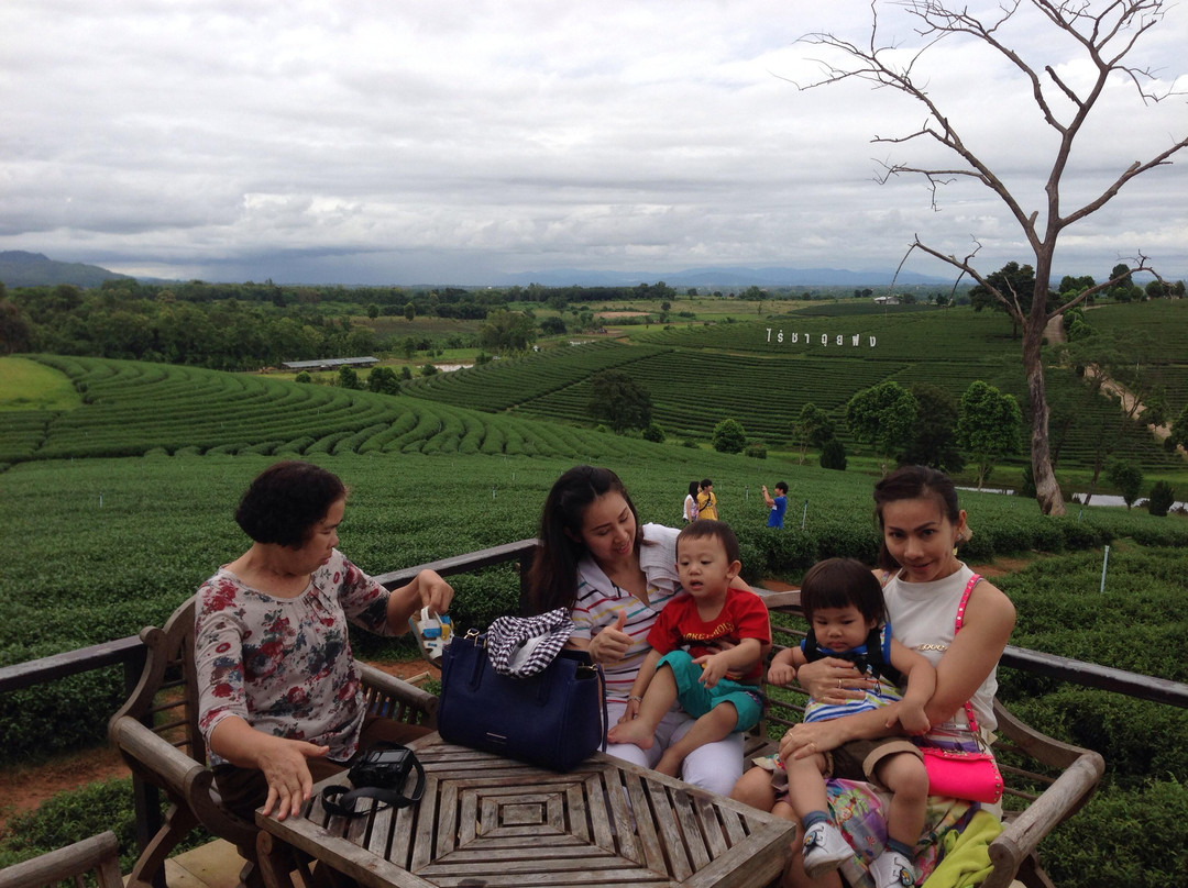 Suantangja Travel - Private Day Tours-清莱必去景点