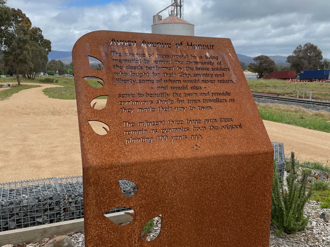 Avoca Avenue Of Honour