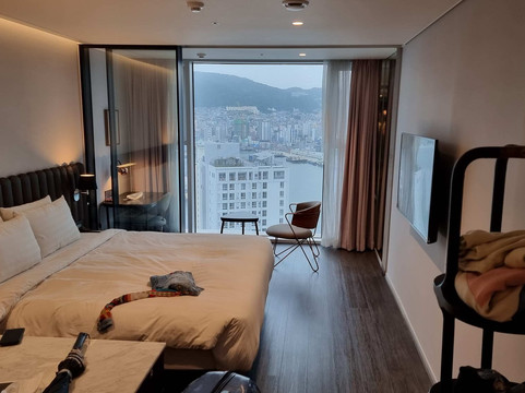 拉瓦尔斯酒店主图