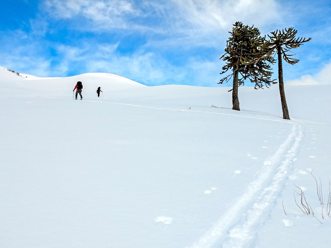 Endémiko Adventures-Malalcahuello必去景点