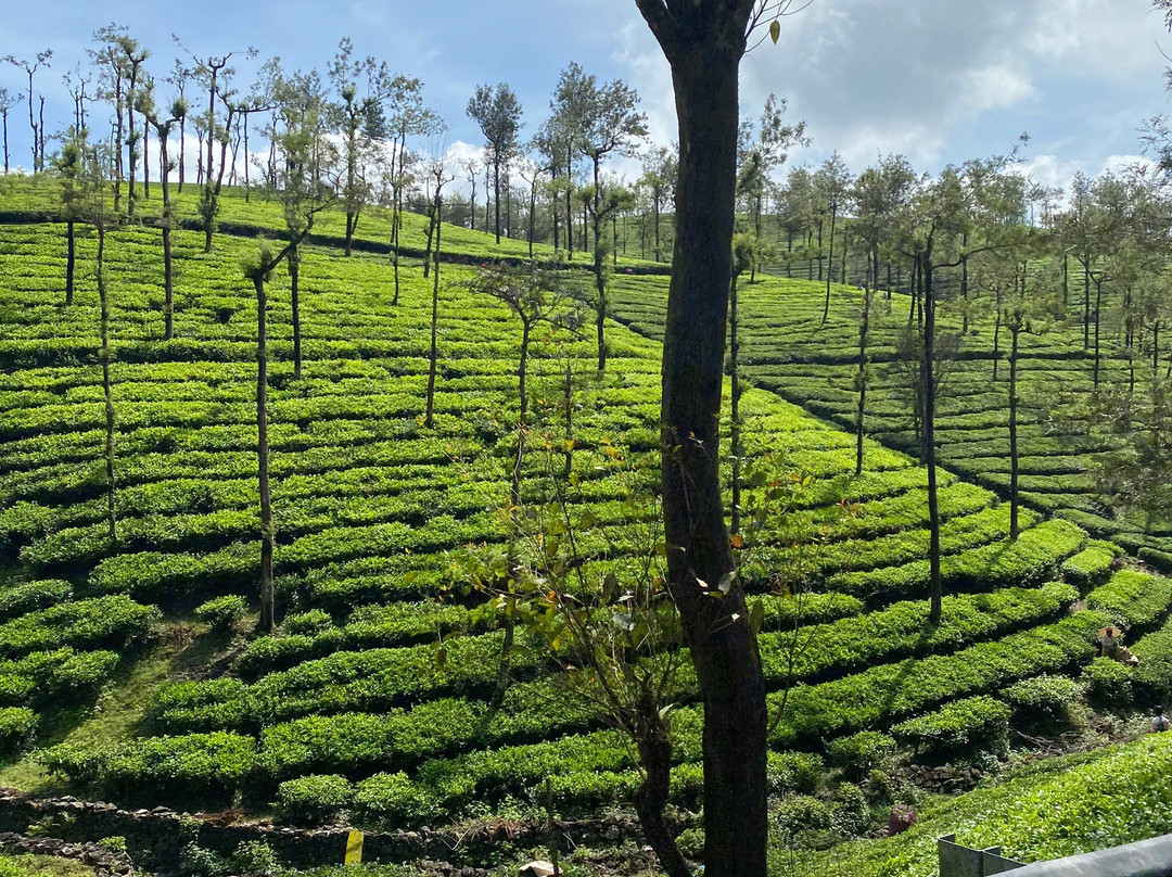 Sabarimala旅游攻略图片