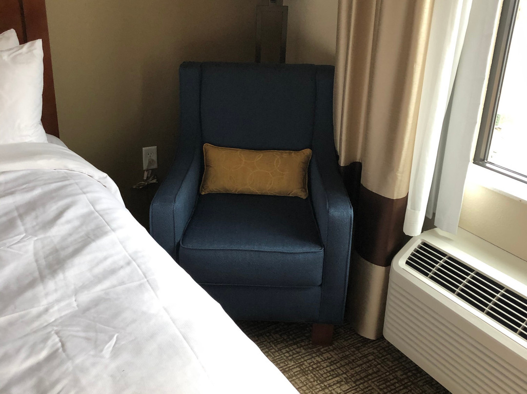 Comfort Inn & Suites主图