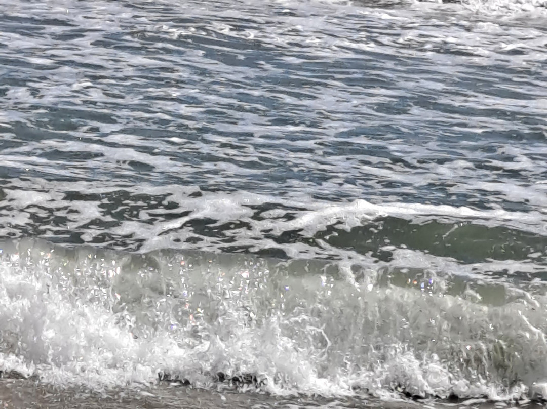 Best Western Plus St. Augustine I-95主图