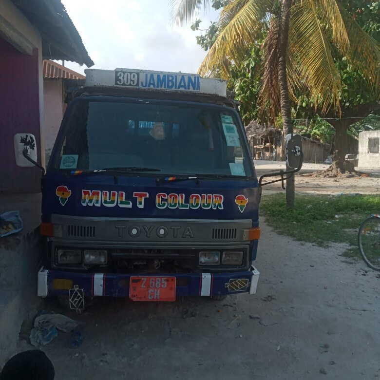 Zan Art Tours & safari-江比阿尼必去景点