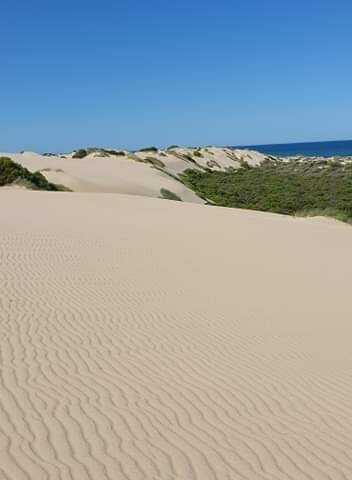 Kalbarri Wagoe Beach Quad Bike Tours景点图片