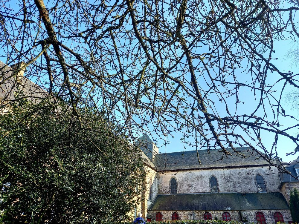 Abbaye Notre-Dame de Paimpont景点图片