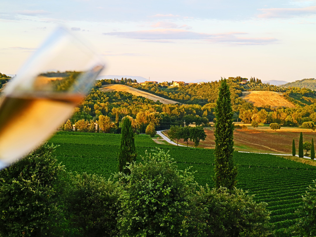 Olivi Le Buche Winery景点图片