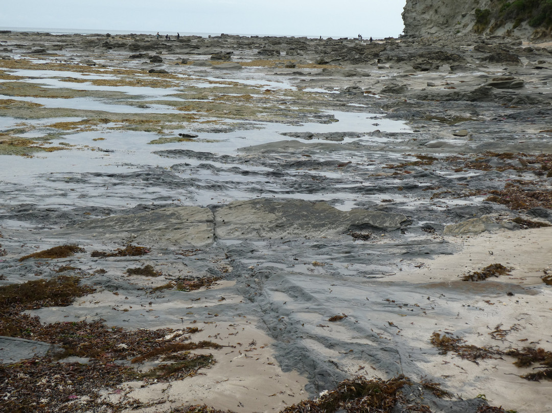 The Caves-Inverloch必去景点