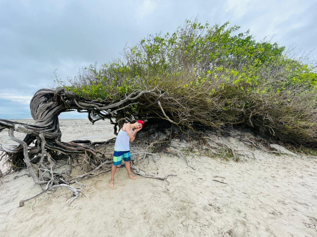 Tiago Jeri Passeios-杰里科科拉必去景点