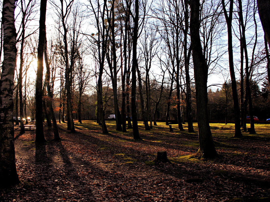 Bois de la Vequée景点图片