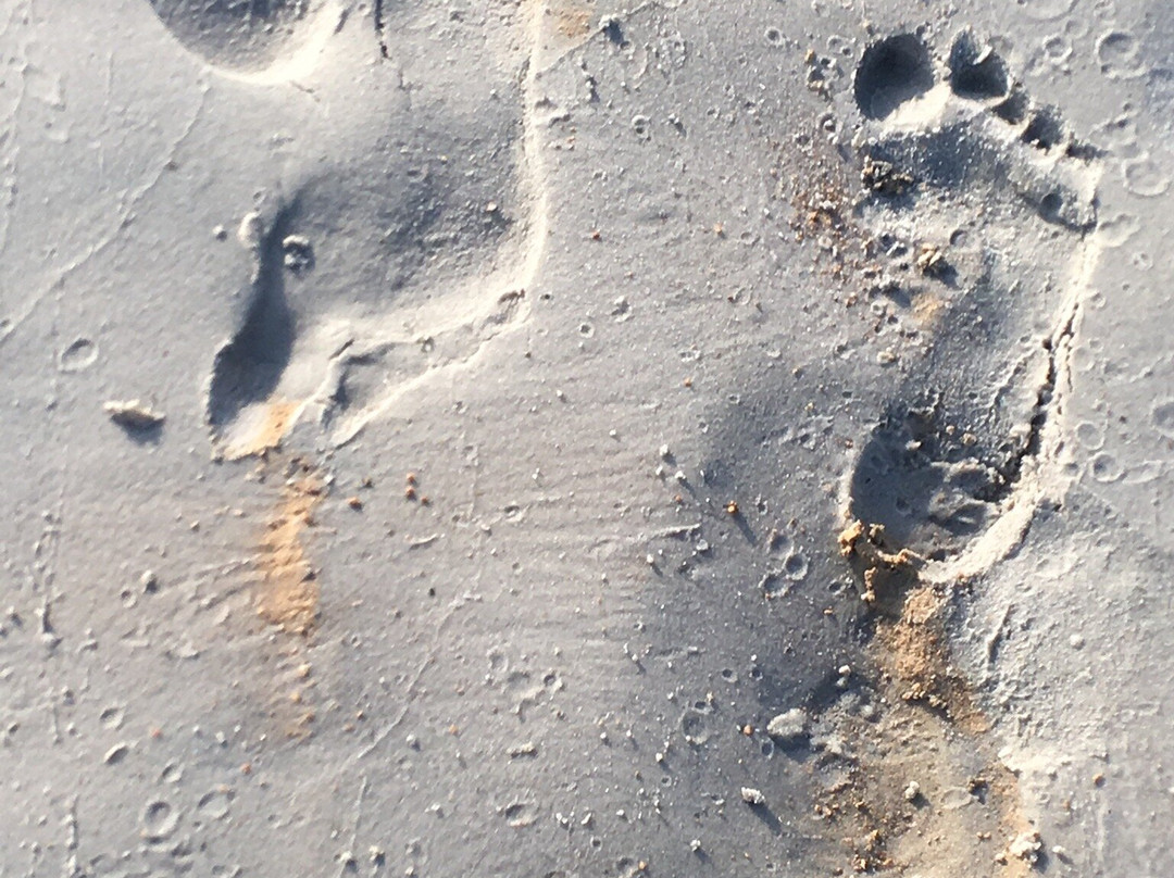 Pontinha Beach景点图片