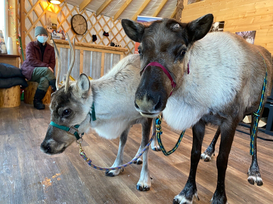 Chena Outdoor Collective-费尔班克斯必去景点