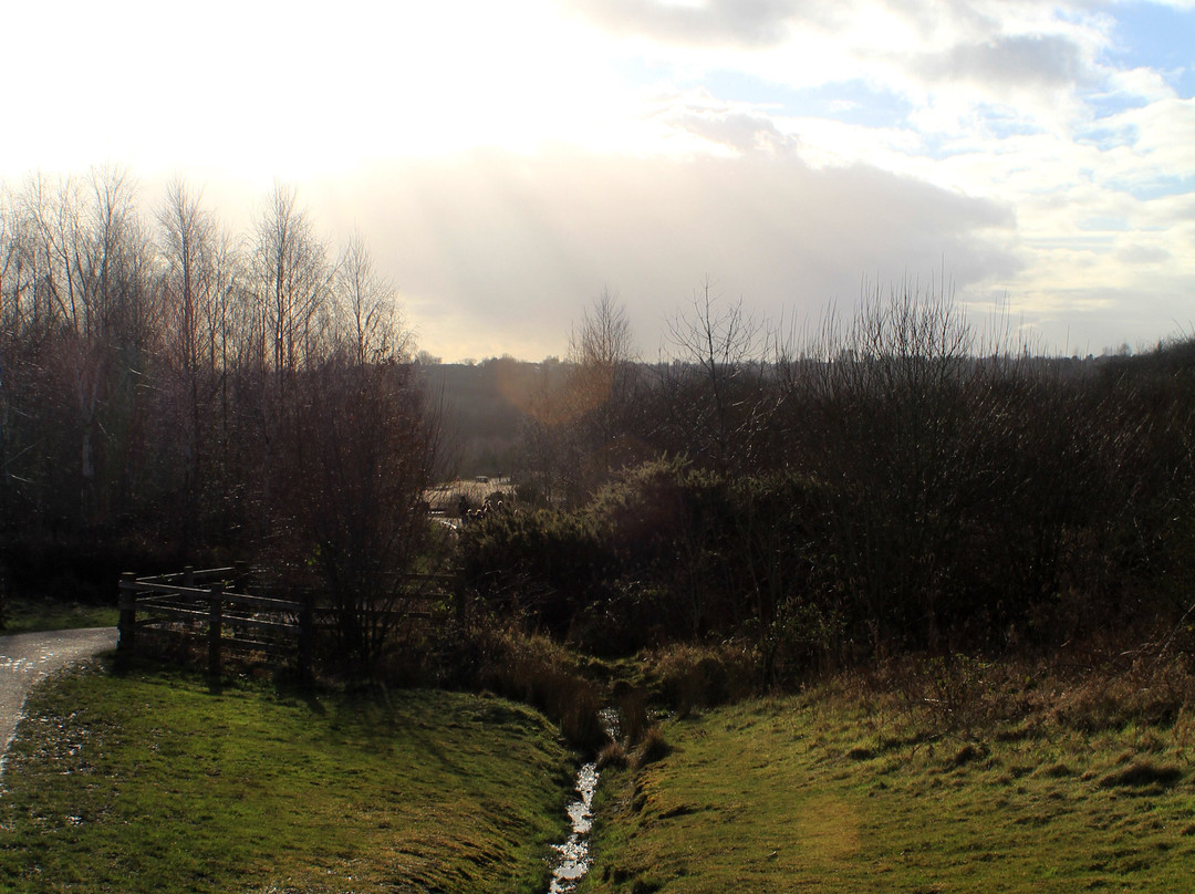 Gedling Country Park景点图片