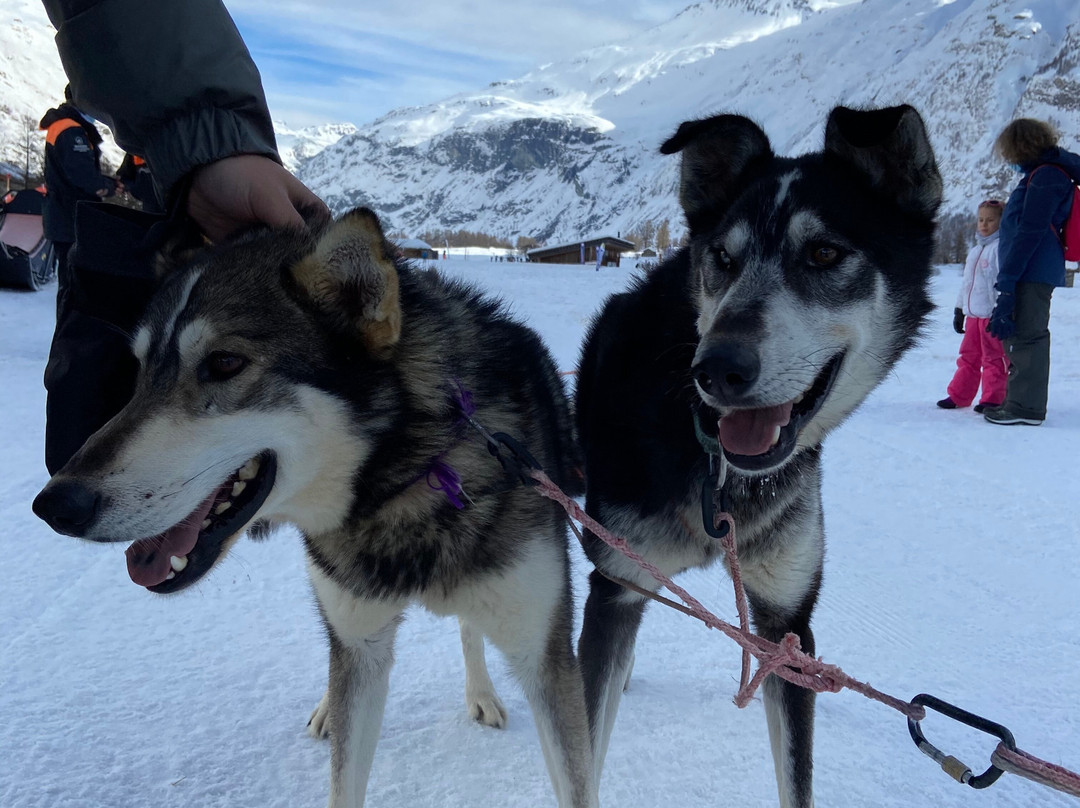 Husky Adventure景点图片