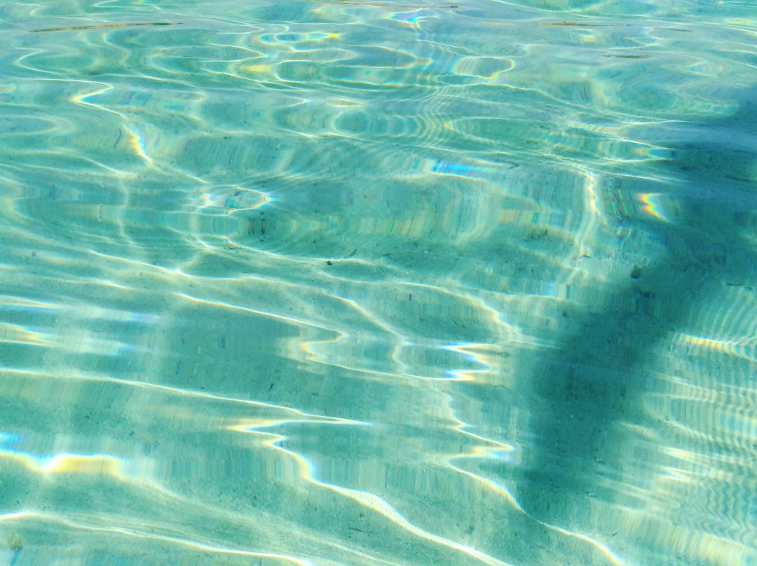 Spiaggia La Colba-圣特雷莎加卢拉必去景点