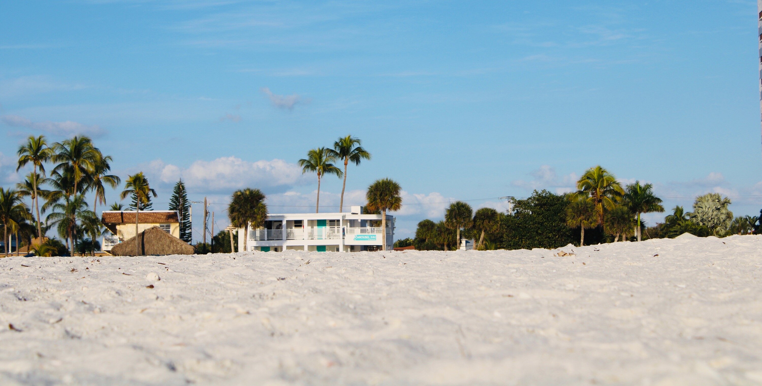 Carousel Inn on the Beach-泳池