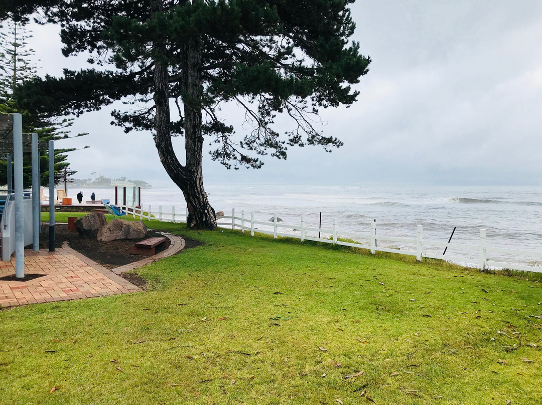 Penguin Foreshore-企鹅岛必去景点