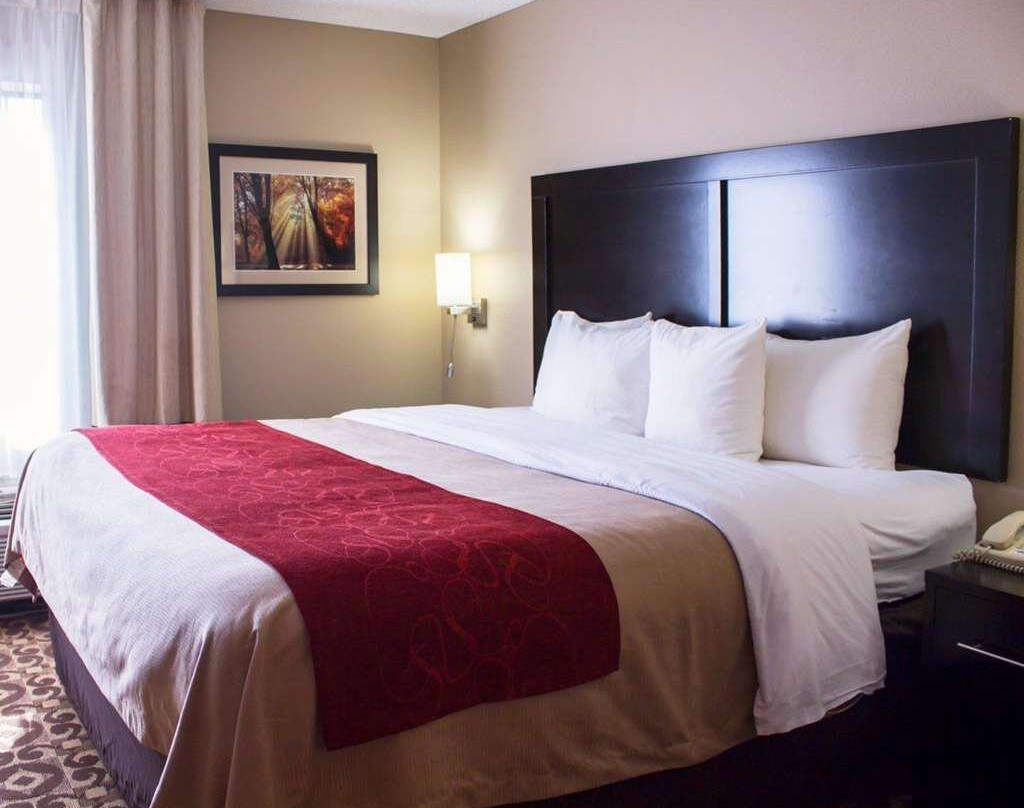 Comfort Inn & Suites Trussville I-59 Exit 141主图