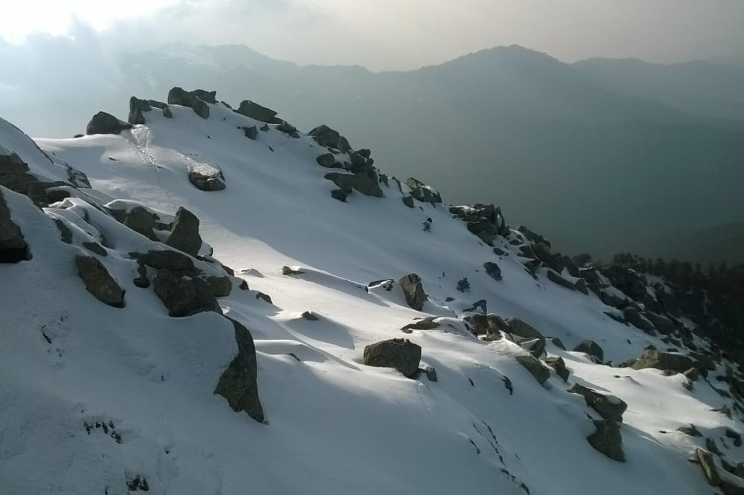 Churdhar Peak景点图片
