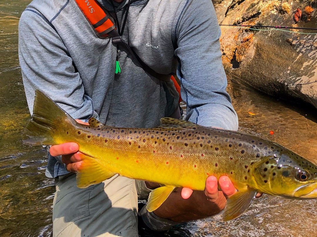 TwoBrothers Guide Service-Sylva必去景点