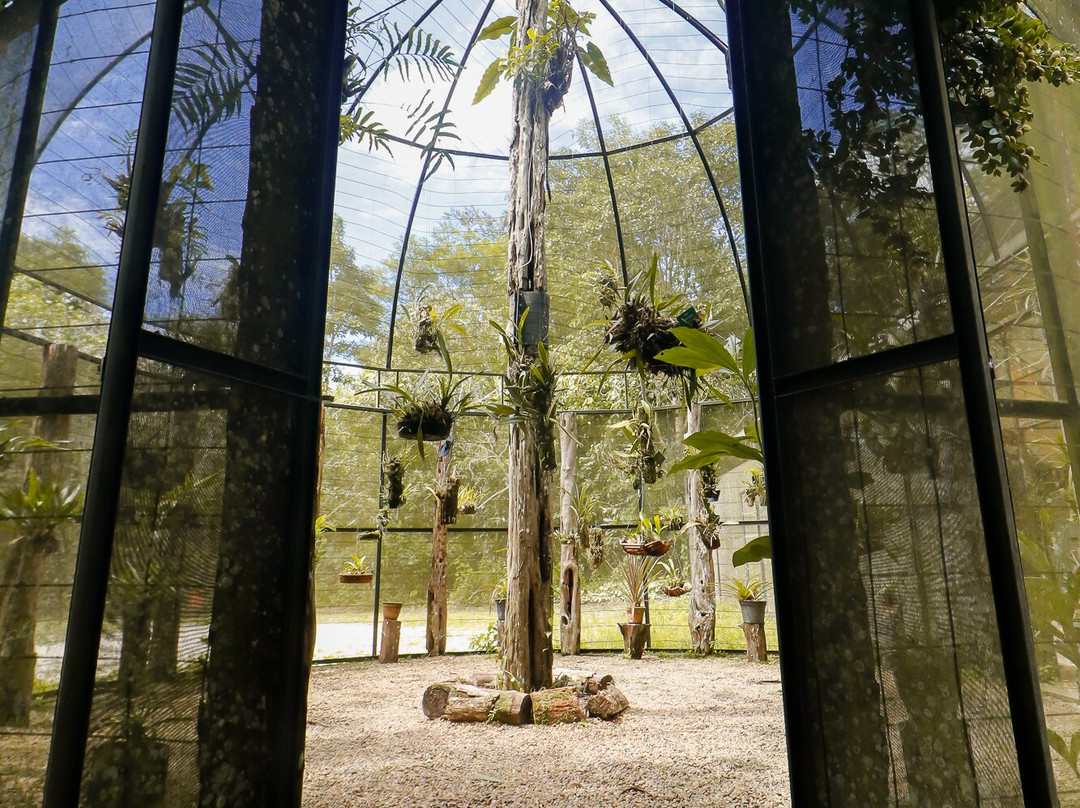 Museu da Amazonia (MUSA)-玛瑙斯必去景点