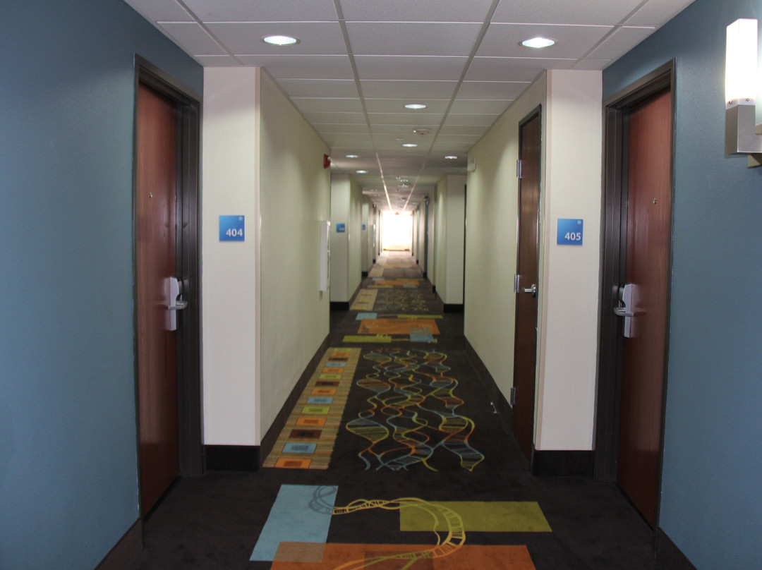 Holiday Inn Express & Suites Roanoke Rapids SE by IHG主图