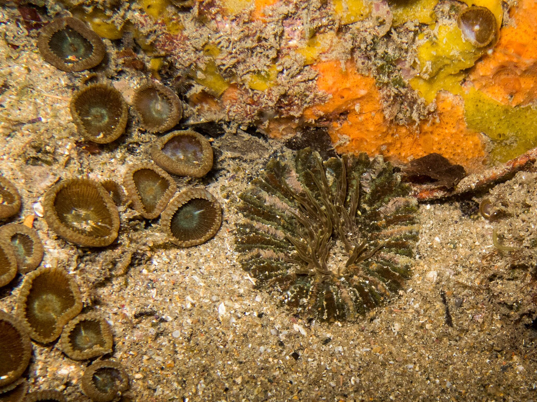 Saco do Eustaquio-伊利亚贝拉必去景点